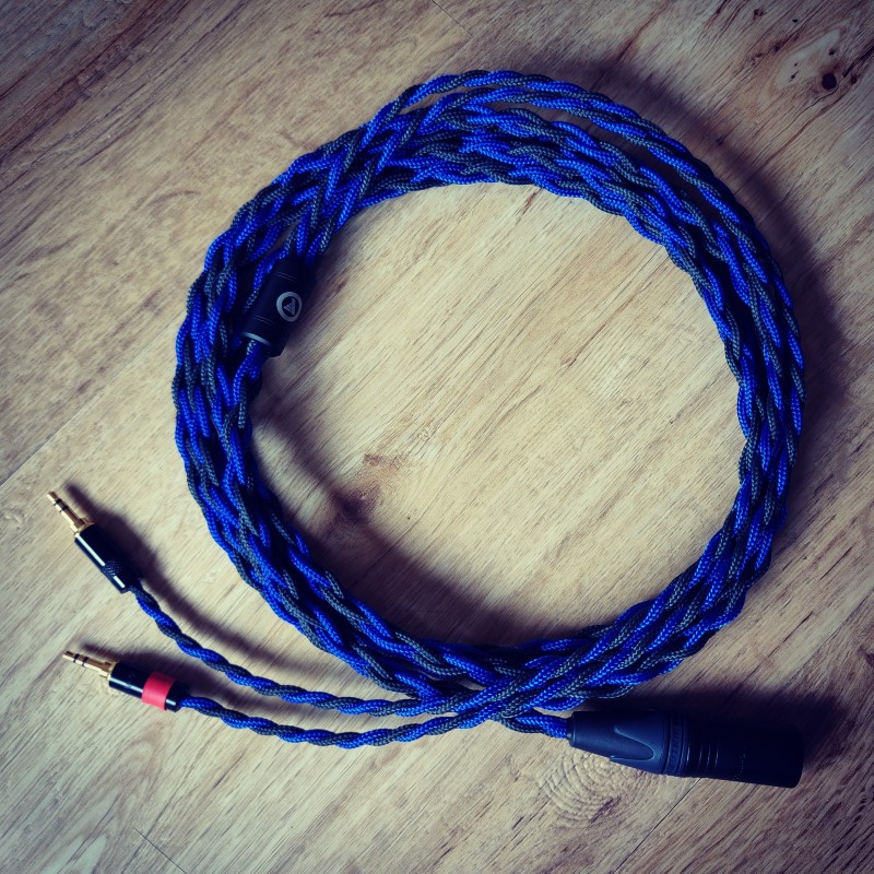 20190627_HifimanArya_CustomCable_Firschi.jpg