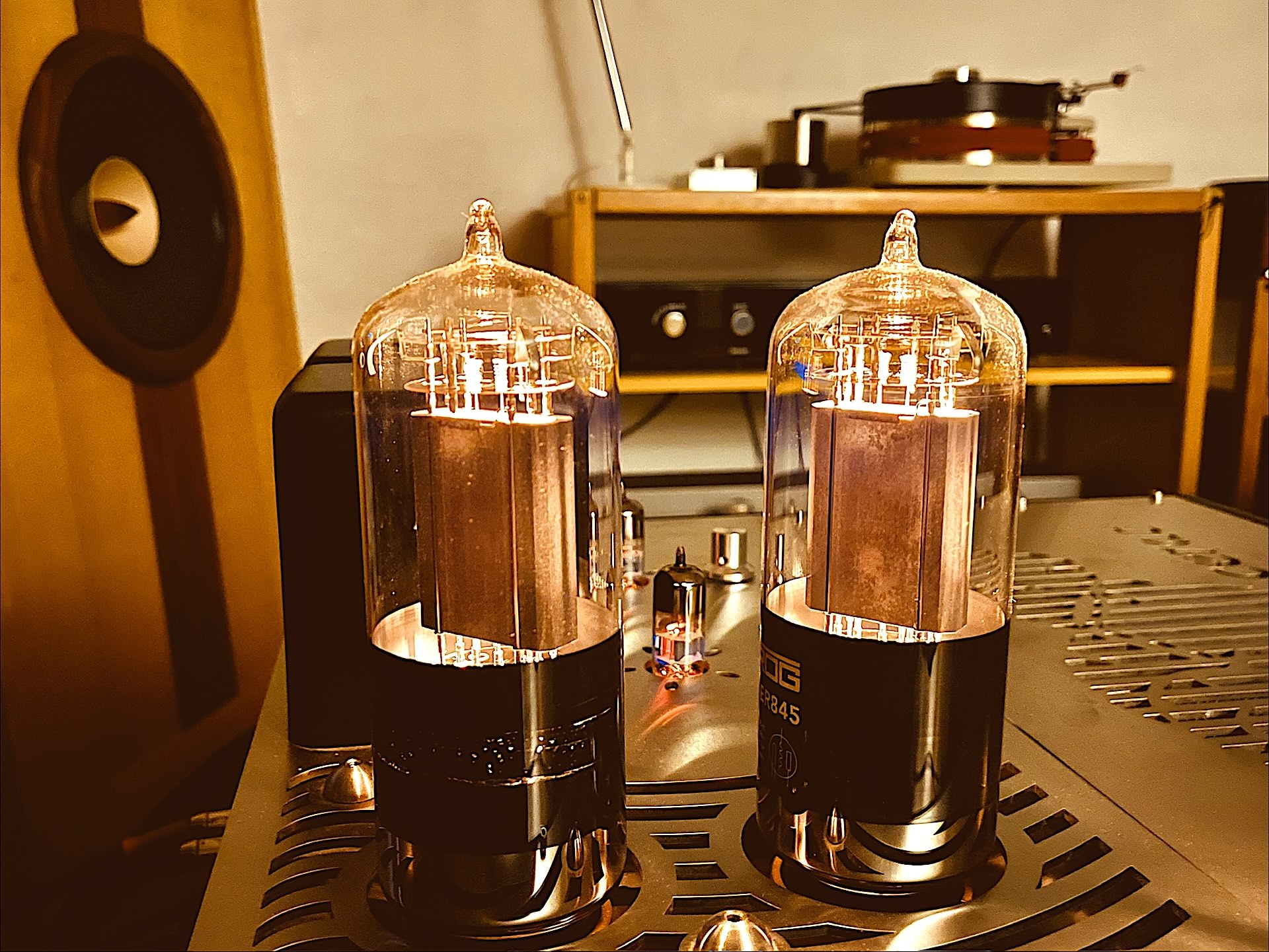 Aries Cerat Genus.jpg