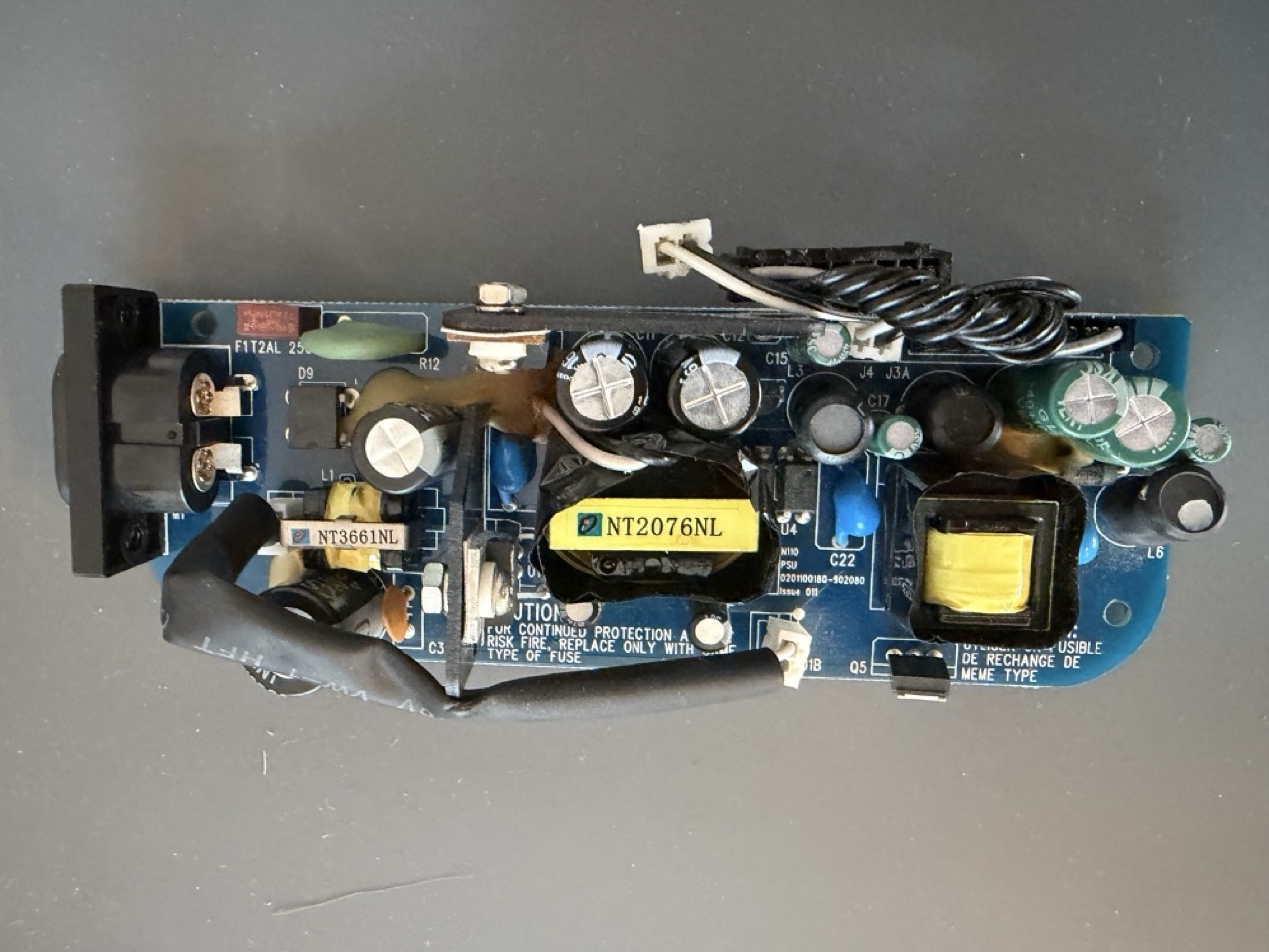 Groß (IMG_5755).jpeg